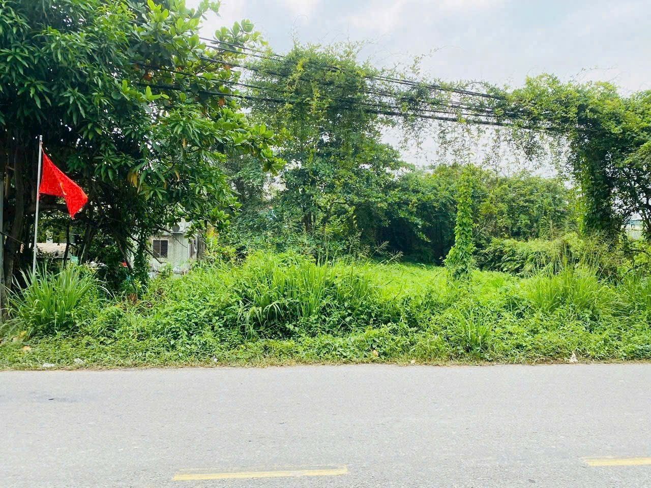 Bán 970m2 (20x48m) có 464m2 thổ cư, mặt tiền Thanh Niên, Phạm Văn Hai, Bình Chánh