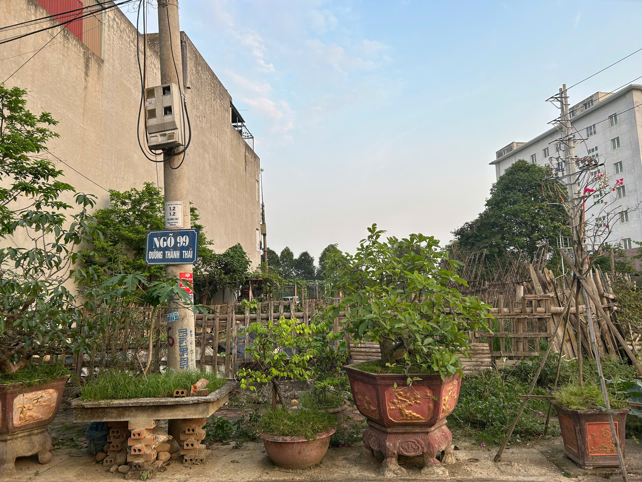 Bán đất đẹp 99 Thành Thái – vị trí thuận tiện, giá tốt, tiềm năng