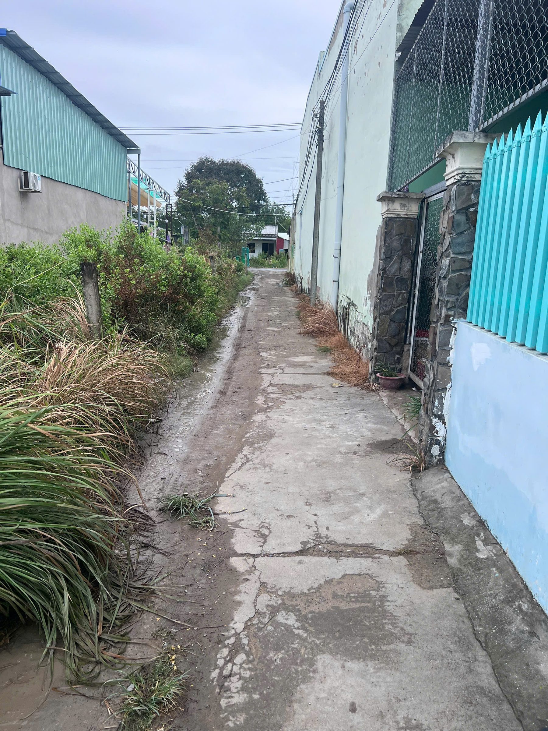 Bán đất 121,40m² có sẵn 115m² thổ cư ngang 5m giá 3.98 tỷ tại Đường Thạnh Thới Xã Cần Giờ