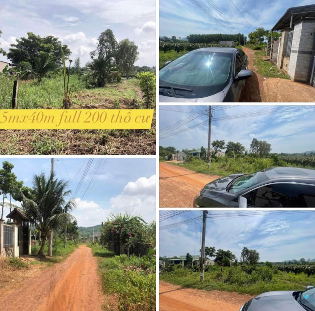 Kẹt tiền cần bán gấp