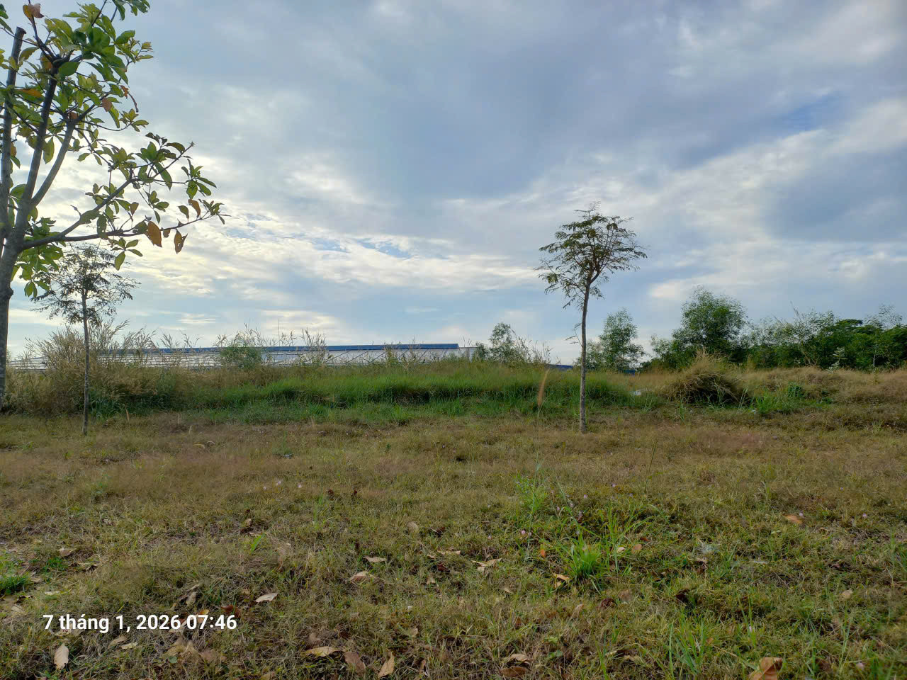 Bán Đất xây dựng xưởng 12.000m² tại Cụm công nghiệp Tân Bình, Xã Tân Bình Thị xã La Gi Bình Thuận