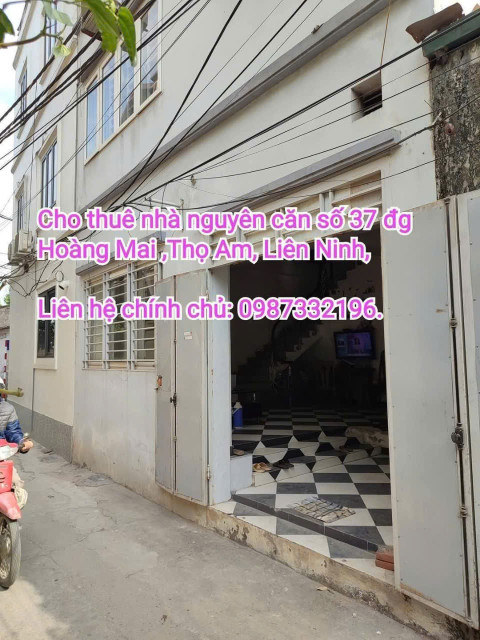 GIÁ TỐT - MÌNH CHÍNH CHỦ CHO THUÊ NHÀ NGUYÊN CĂN SỐ 37 ĐƯỜNG HOÀNG MAI, THÔN THỌ AM, XÃ LIÊN NINH, HUYỆN THANH TRÌ, HÀ NỘI