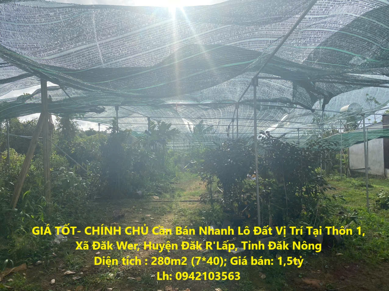 GIÁ TỐT- CHÍNH CHỦ Cần Bán Nhanh Lô Đất Vị Trí Tại Tỉnh Đăk Nông