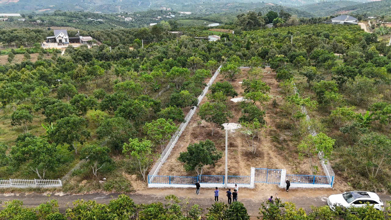 1359m2 sẵn 160m thổ cư, sẵn vườn bơ giá chỉ 1tr7/m2