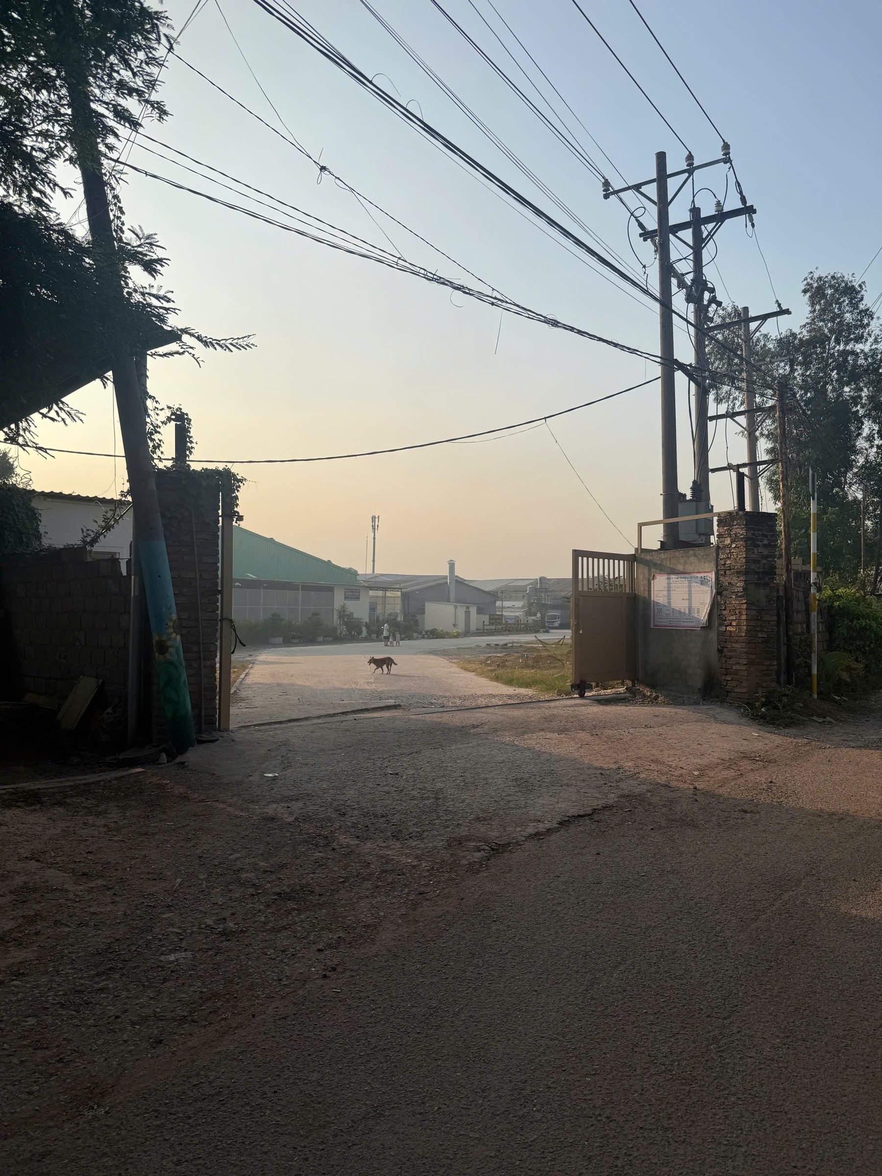 Cho Thuê xưởng Thuận Giao  1700m2  PCCC đầy Đủ