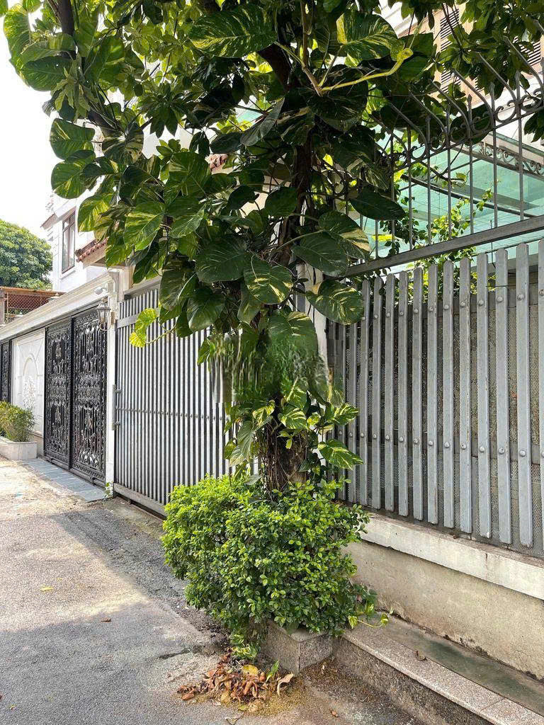Biệt thự gần phố Tây Hồ – 120m đất vuông – sân vườn, gần hồ – chỉ 23 tỷ