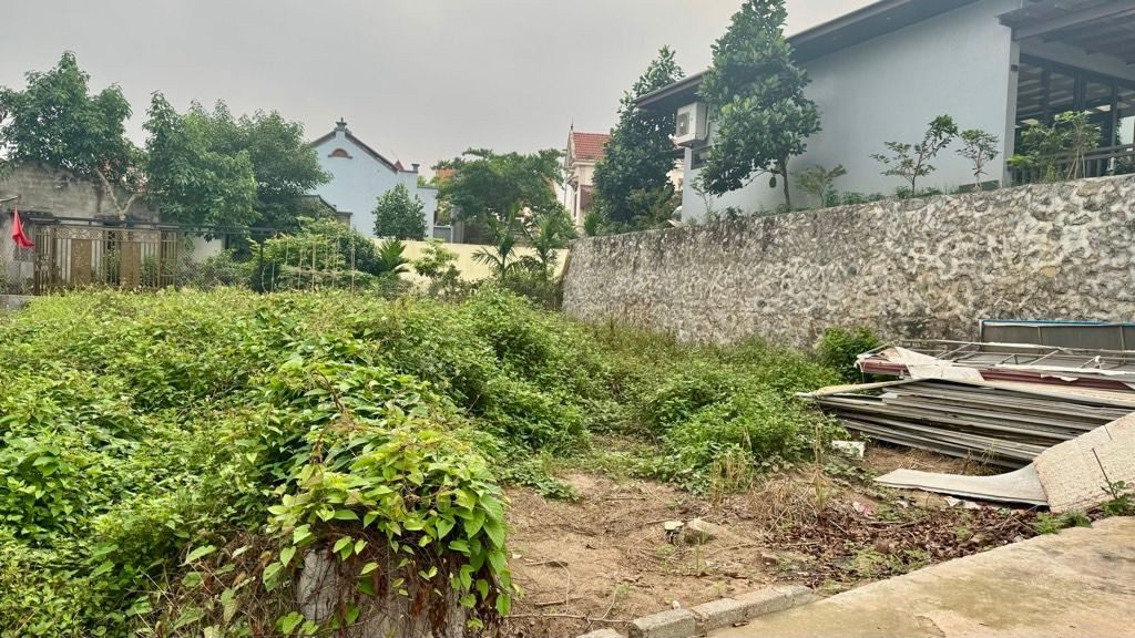 87M2 ĐẤT LIÊN NGHĨA - VĂN GIANG - Ô TÔ TRÁNH - HAI MẶT NGÕ - VIEW SÔNG CỰC THOÁNG MÁT 3, 8tỷ