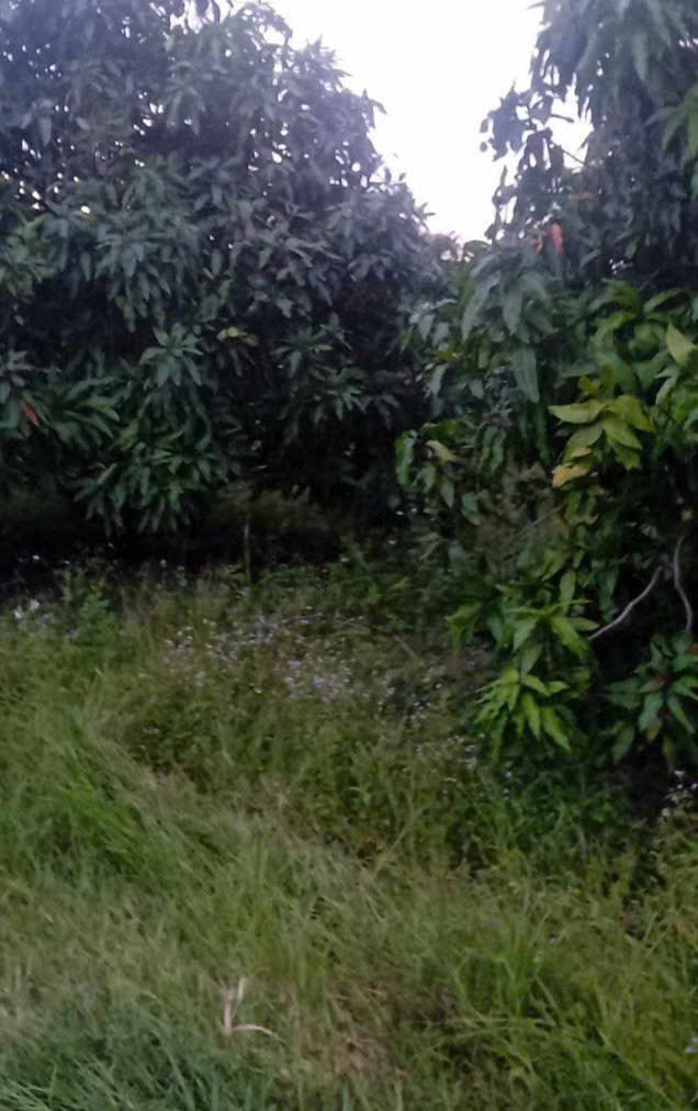BÁN LÔ ĐẤT CLN  - ĐẦU TƯ SINH LỜI - VỊ Trí Đắc Địa Tại: Xã Phú Lý - Huyện Vĩnh Cửu - Tỉnh Đồng Nai