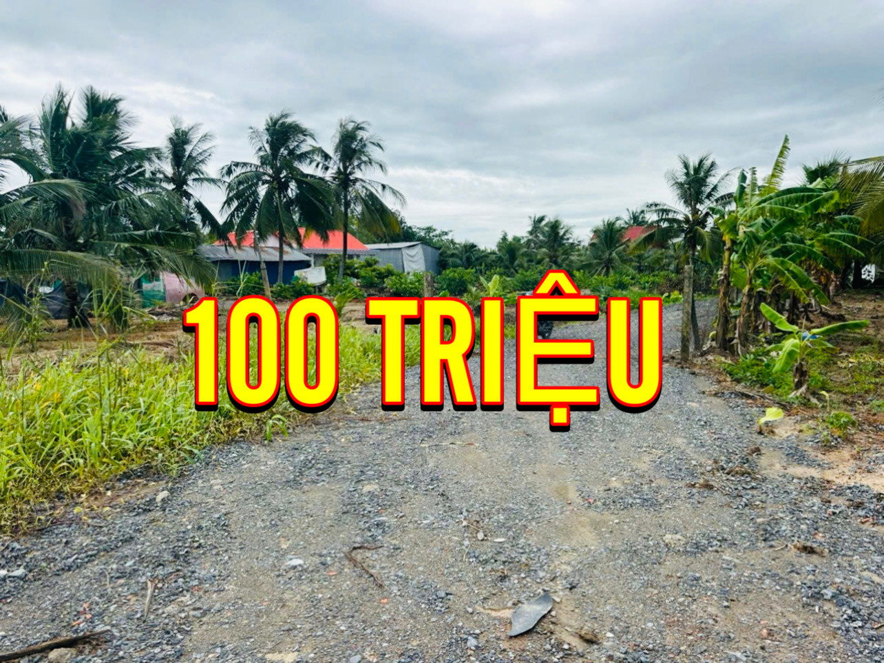 49tr nhận sổ hồng 175m2 thổ toàn bộ, còn lại trả dần 5tr/ tháng