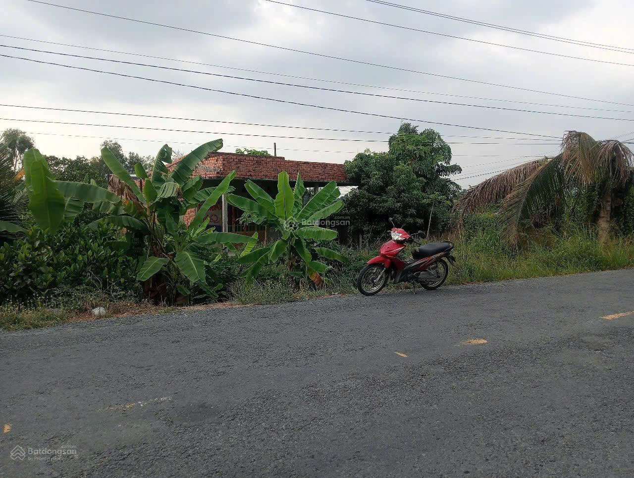 CHÍNH CHỦ BÁN GẤP ĐẤT MẶT TIỀN TỈNH LỘ 865 – TÂN PHƯỚC, TIỀN GIANG