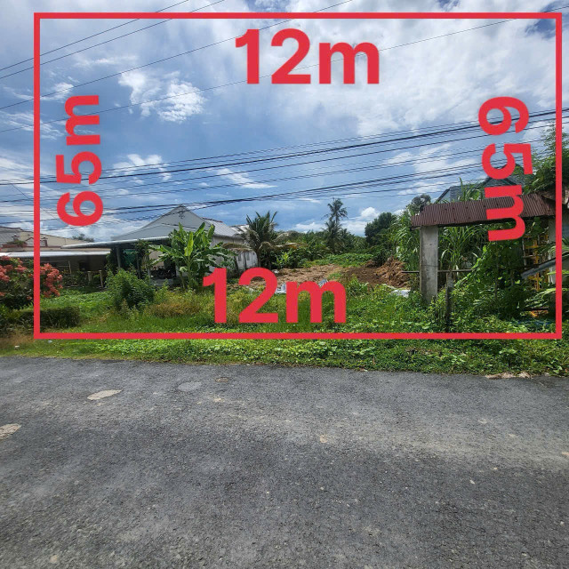 Nhà mặt tiền đường ngang khủng duy nhất trong khu vực 12m x 65m, thổ cư sẵn, Tỉnh lộ 928, Phương Phú, Phụng Hiệp, Hậu Giang.