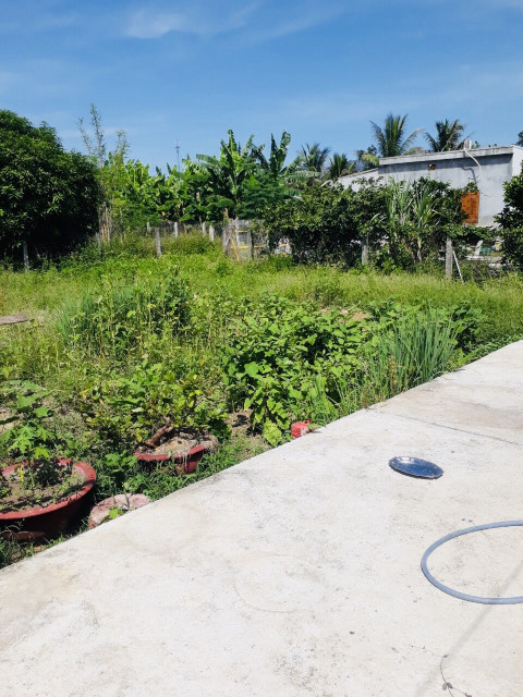 DL09 BÁN NHANH LÔ ĐẤT ĐẸP ĐƯỜNG 3M THÔN TRƯỜNG LẠC - DIÊN LẠC