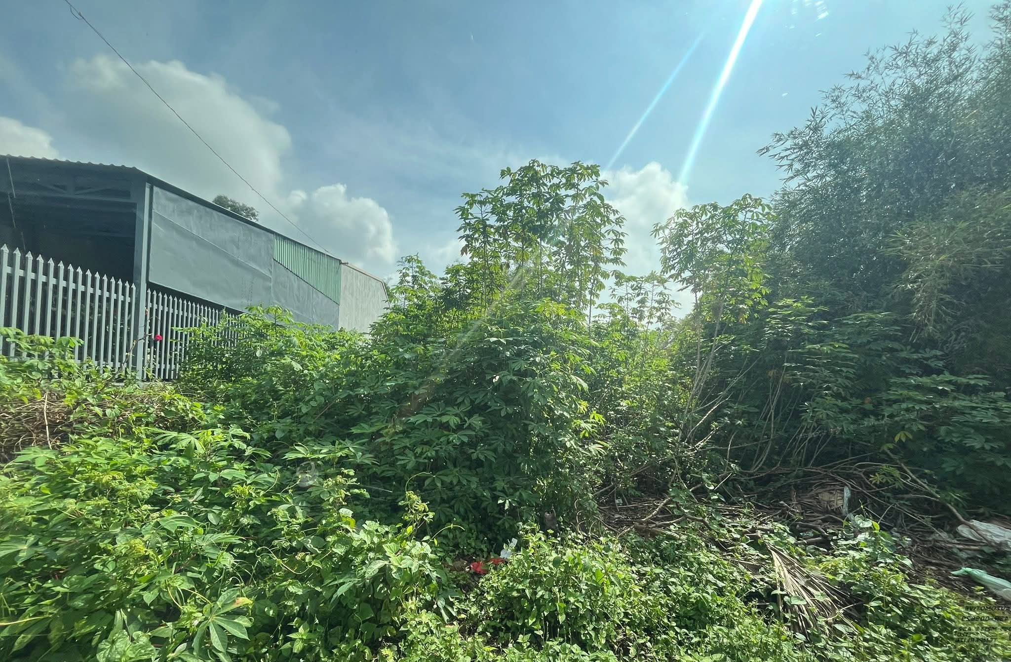 Bán đất trung tâm xã Tân An Hội Củ Chi TPHCM, DT: 15x40m.