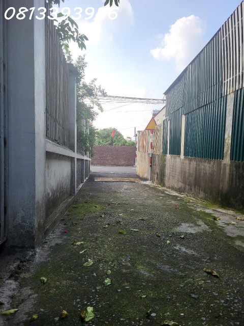 📢 Bán Gấp Lô Đất 120m² Gần KCN – Giá Cực Mềm, Sổ Sẵn, Xây Ngay!