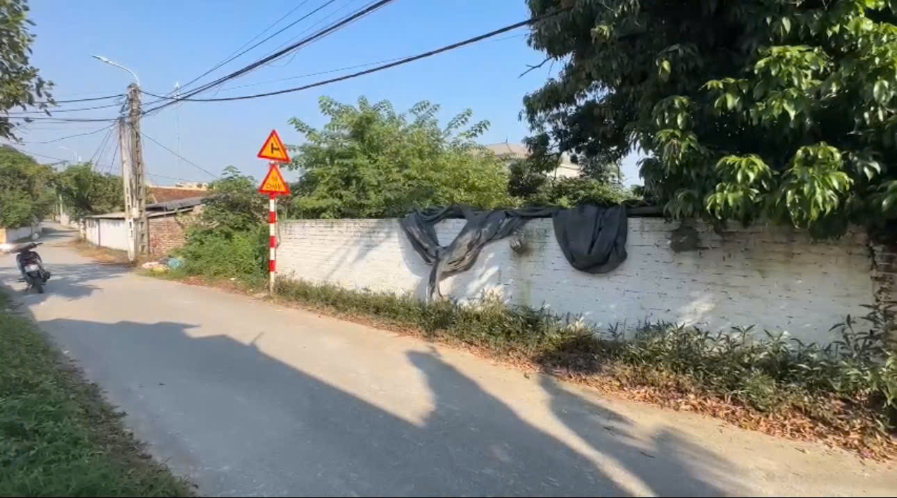 BÁN GẤP LÔ ĐẤT THÔN MỚI THANH VÂN TAM DƯƠNG 100M2 MT5M KINH DOANH ĐỈNH 100m MT5m 1,2x TỶ 0988296228