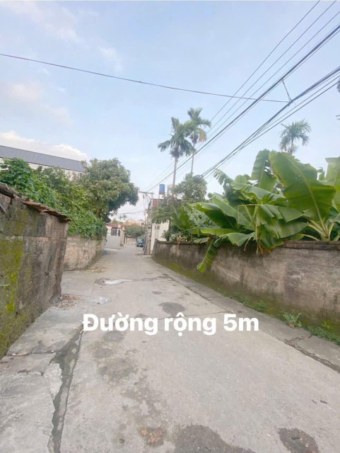 Bán lô đất đẹp 80m2 tại thôn Nam Võng Ngoại, xã Võng Xuyên, Phúc Thọ