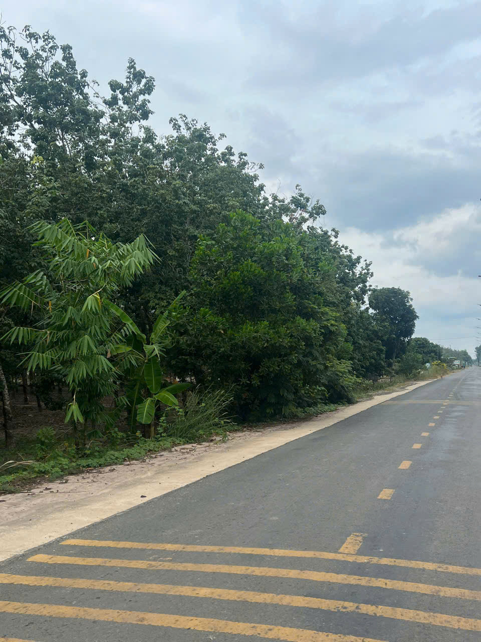 Bán đất mặt tiền DT651E, thôn Xuân Ninh, Xuân Sơn – 1.543,9m², ngang 36,8m, giá 8,6tr/m²