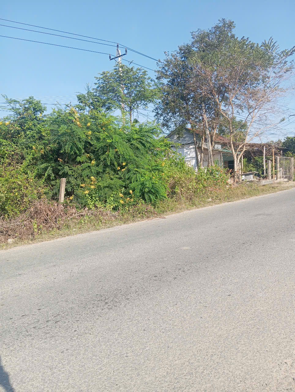 Bán đất mặt tiền tỉnh lộ DT651E, thôn Xuân Ninh, Xuân Sơn – 1.107,6m², ngang 30,5m, giá 8,1tr/m²
