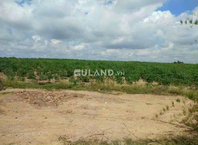 Cần bán lô  đất 1,6 mẫu đất  tại huyện La Pa, tỉnh Gia Lai