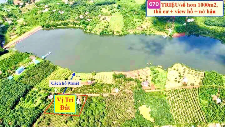 🛑Đất Thổ Cư View HỒ 50hecta 6️⃣5️⃣0️⃣TRIỆU/sổ riêng/1040,7m2, cách TP.HCM 185km ☎️0919.830.239