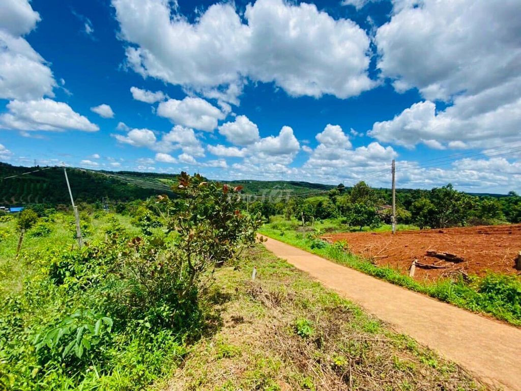 Đất 02 Mặt tiền hiện hữu trước và sau thể hiện trên sổ ngay trung tâm xã Đăk Sin. View Đẹp. Giá 550 Tr/1230m2. Sẵn 200m thổ cư