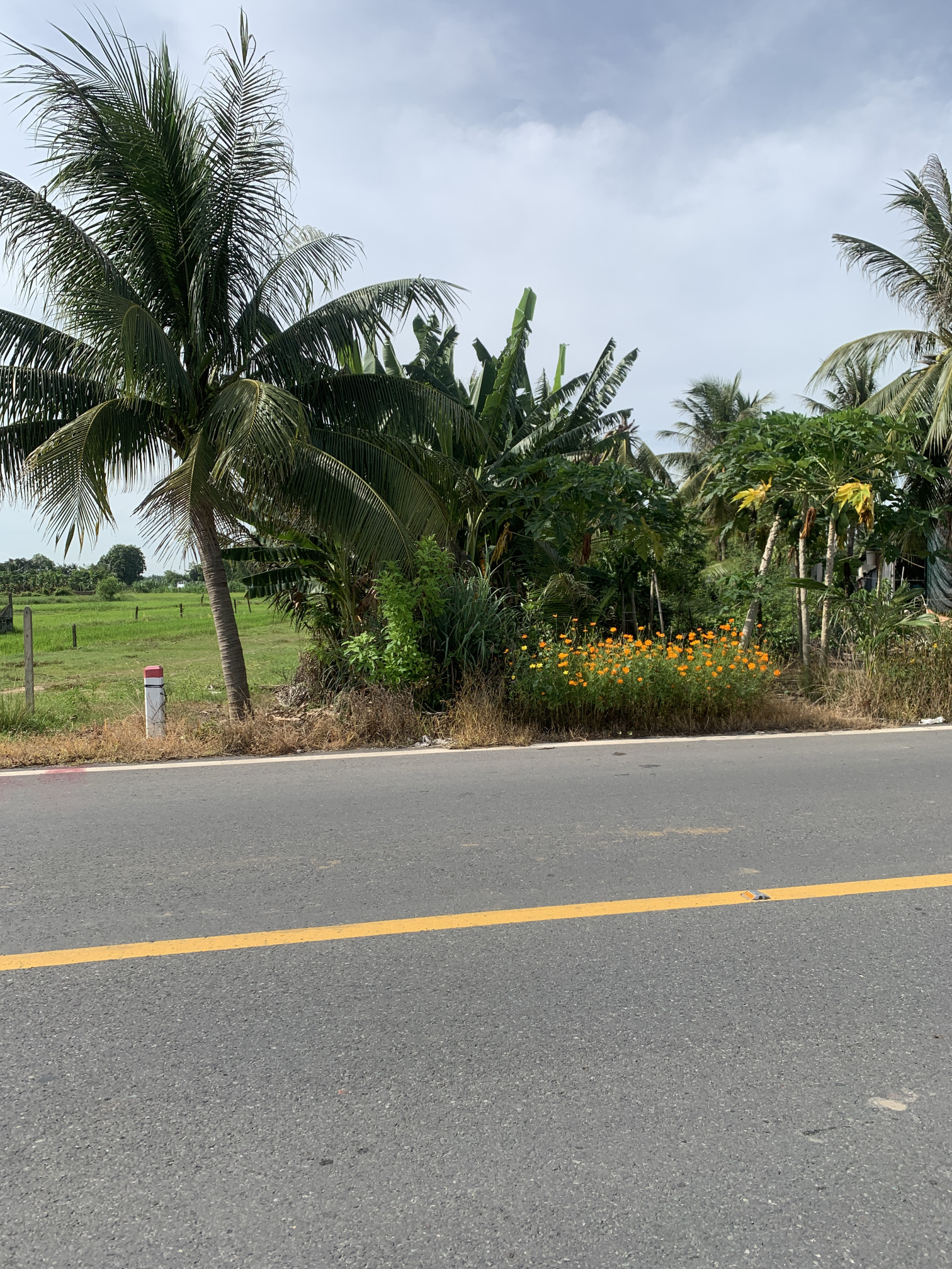 Bán đất 1550m² ngang 25m giá 13.3 tỷ Xã An Nhơn Tây