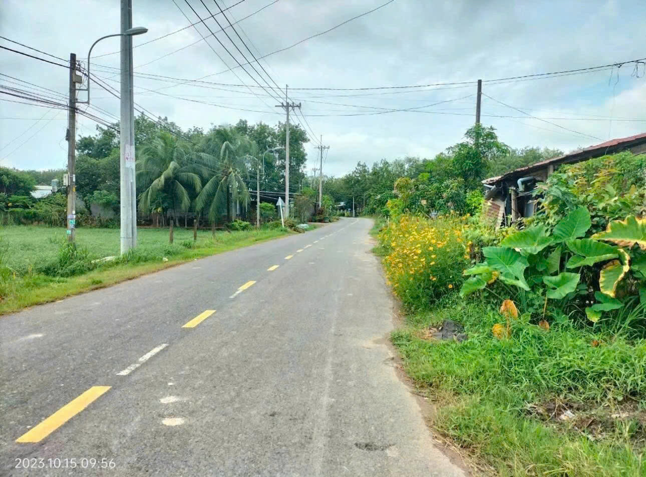 BÁN ĐẤT AN NHƠN TÂY – CỦ CHI