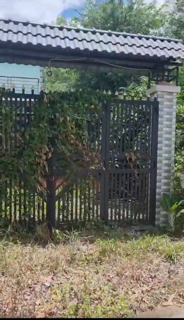 Bán đất mặt tiền Trương Thị Kiện buôn bán kinh doanh xã Thái Mỹ Củ Chi TPHCM, DT: 6,5x29m.