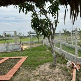 Bán đất Củ Chi, lô đất vườn 1 sẹc ngắn Võ Thị Thuộc, 1.110m2, xã Trung Lập Hạ.