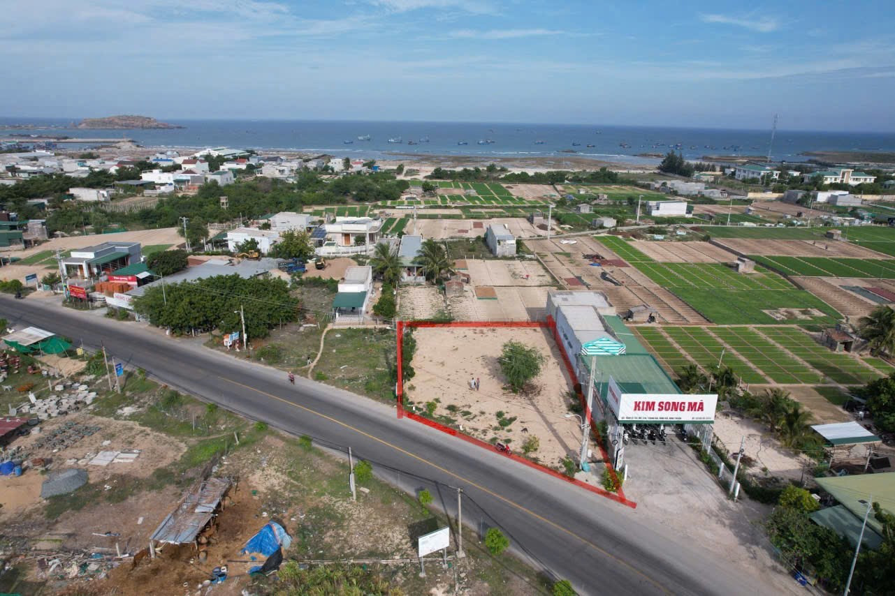 Đất Mặt Tiền Đường TL702 Mỹ Tân. Thanh Hải. Ninh Hải. Ninh Thuận