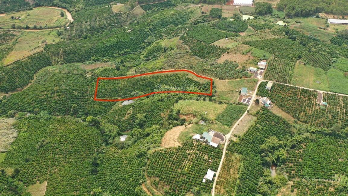 Bán đất thổ cư ở gia lâm. view tượng mẹ quan âm. Giá 868tr/648m2. sẵn 100 xây dựng