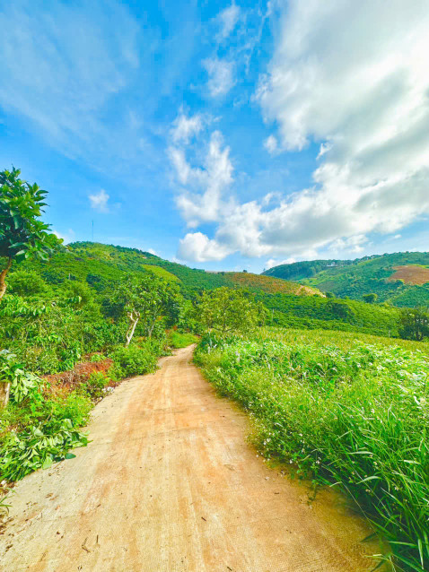Bán đất Mê Linh, giáp ranh TP Đà Lạt chỉ 1.36 tỷ view săn mây