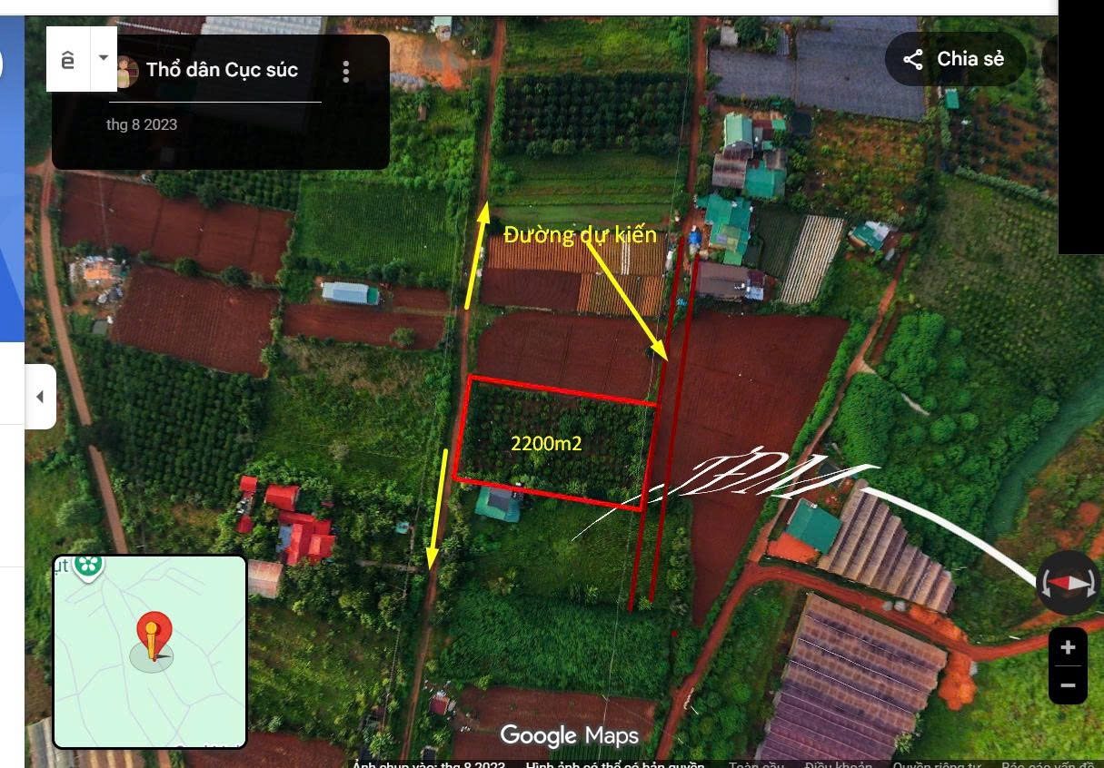 Bán lô đất Tà Nung - Đà Lạt 2200m- 7 tỷ 5- có 300m thổ cư- cách trung tâm tp 15km giá đầu tư🌲