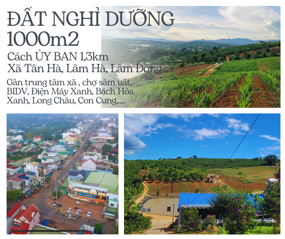 Bán đất nghĩ dưỡng 1766m2 tại xã Tân Hà, huyện Lâm Hà,  Lâm Đồng