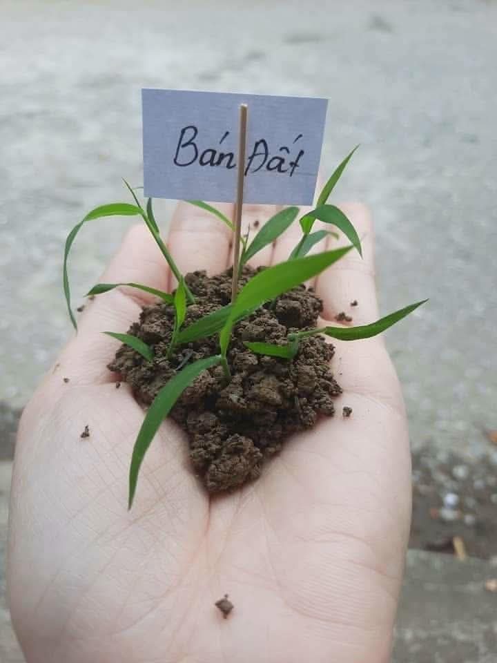 Gia đình tôi cần bán gấp lô đất xào để về quê. Đối diện trọ, mặt tiền đường nhựa, Giá  full hơn 1t5 xíu. Có thể thương lượng