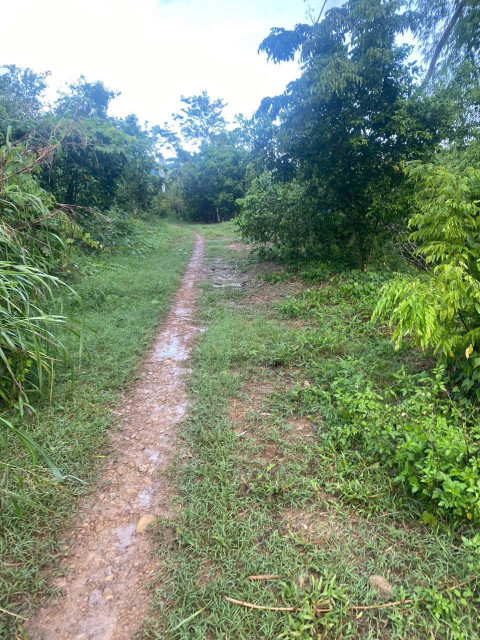 Bán đất