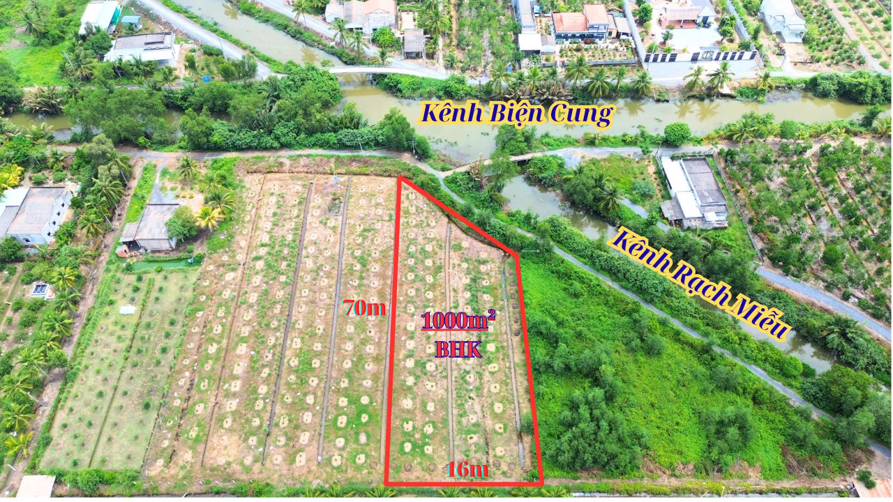 🌈🌈 BÁN 1000m đất vườn(chuyển thổ cư) - Bình Đức, Tây Ninh