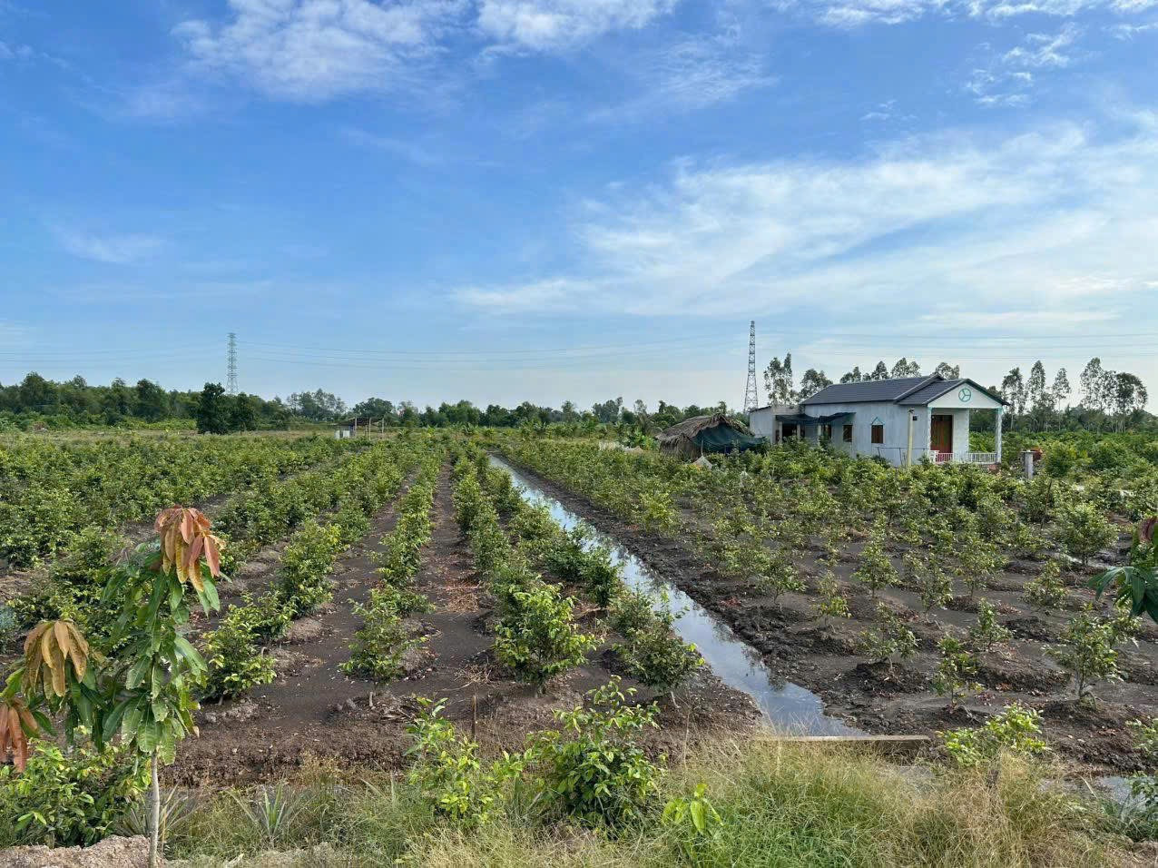 🌈🌈 BÁN 1000m² đất vườn(Chuyển thổ cư)