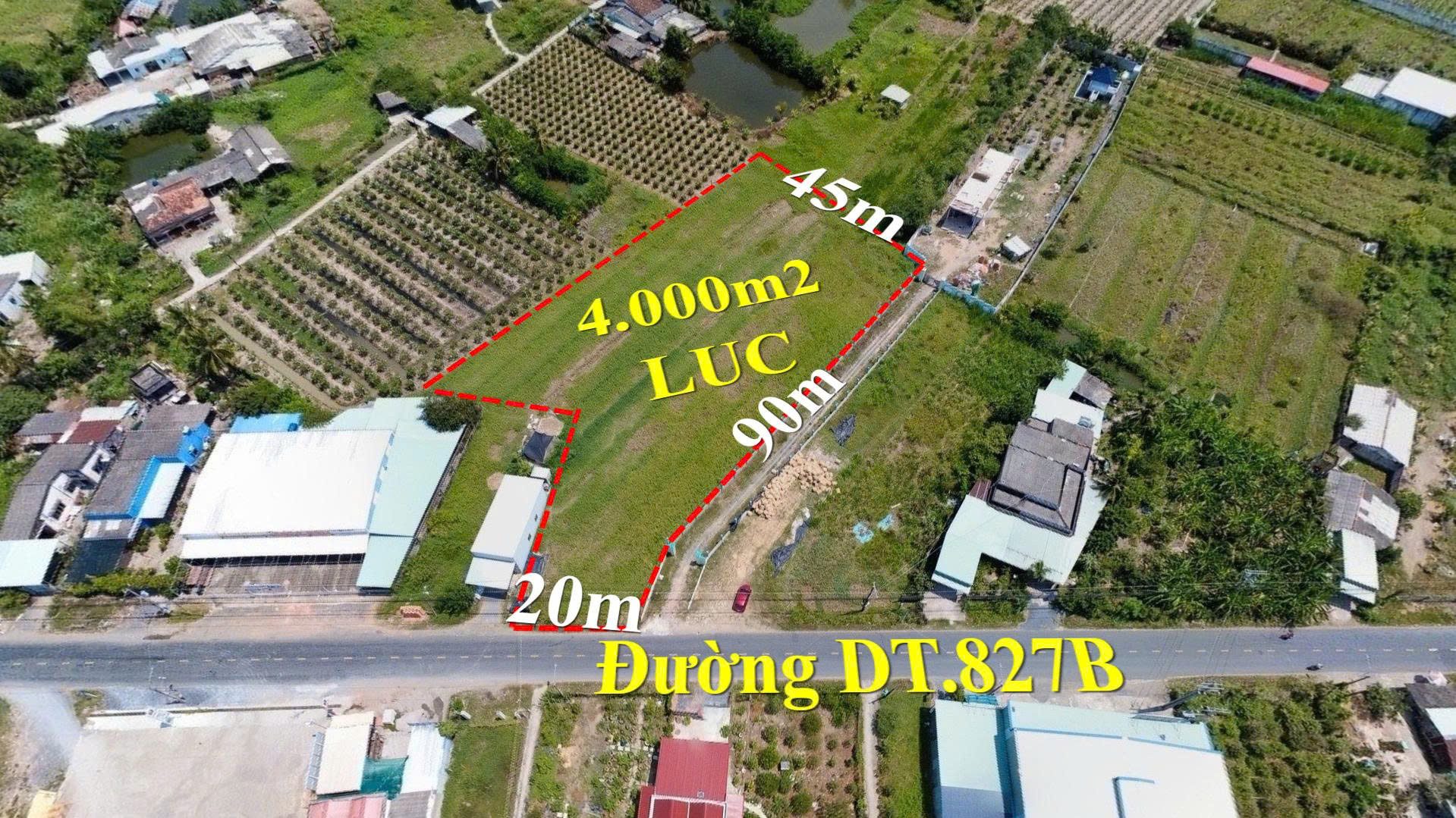 BÁN ĐẤT MẶT TIỀN ĐT.827B QUỸ ĐẤT LỚN ĐẦU TƯ TIỀM NĂNG