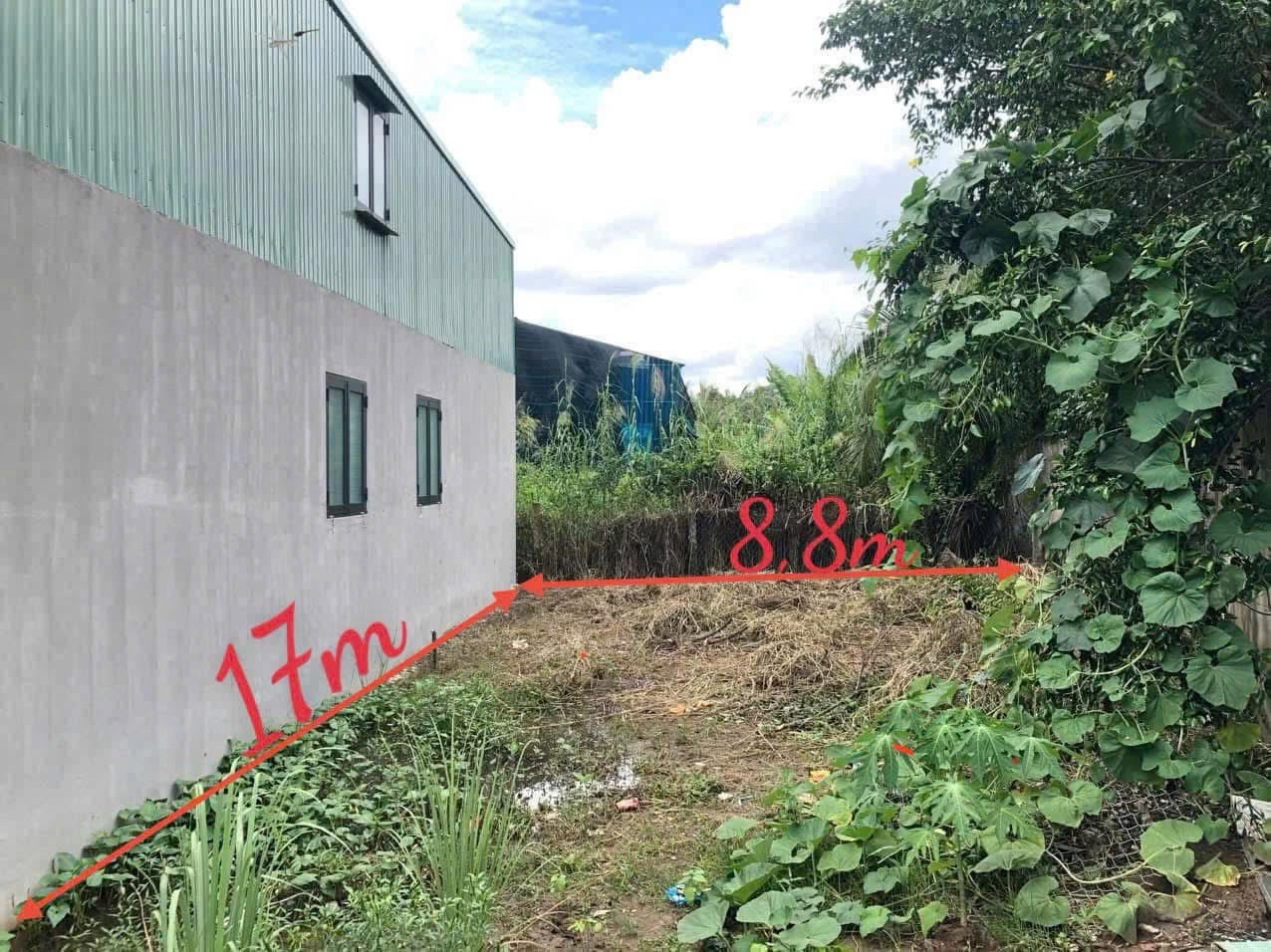 💥💥 Nền thổ giá rẻ - Ấp 1, Nhựt Chánh, Bến Lức