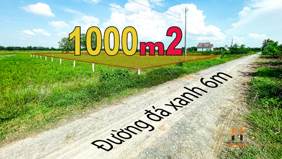 Bán  đất nông nghiệp 1000m² , giá 1.680 tỷ tại đường Tỉnh lộ 839, Xã Bình Thành, Huyện Đức Huệ, Long An