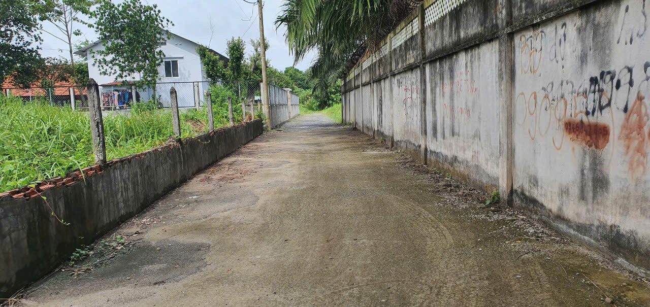 Đất đẹp 1 sẹc Tỉnh Lộ 9, xã Bình Mỹ, Củ Chi – khu dân cư đông, xây dựng tự do, giá cực tốt 2.1 tỷ