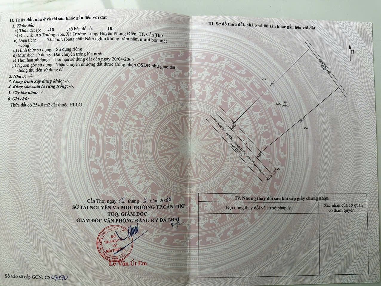 Hơn 5 Công Vườn Sầu Riêng 9 Năm Tuổi Thuộc Trường Long - Phong Điền