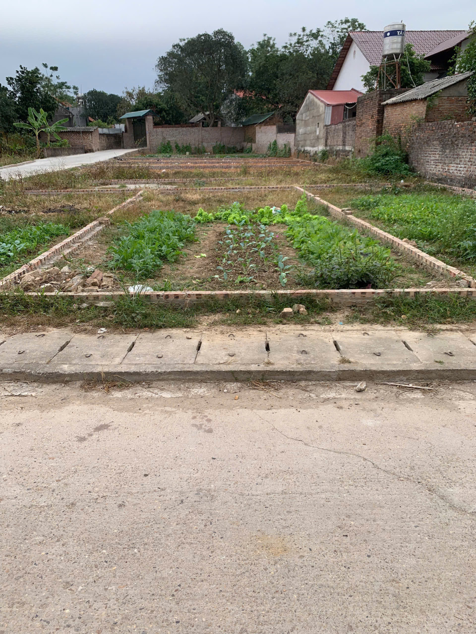 CC BÁN 50m2 ĐẤT TRỤC CHÍNH QUẢNG NINH, HIỀN NINH, SÓC SƠN, HN