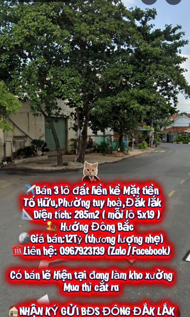 ✈️ BÁN 3 LÔ LIỀN KỀ MT TỐ HỮU

📐 285m² (5x19/lô)
🏜️ Hướng Đông Bắc
🏢 Đang làm kho xưởng – có thể tách lẻ

💰 12 tỷ (TL nhẹ)

☎️ 0967 923 139 (Zalo)

🏠 Nhận ký gửi BĐS Phú Yên