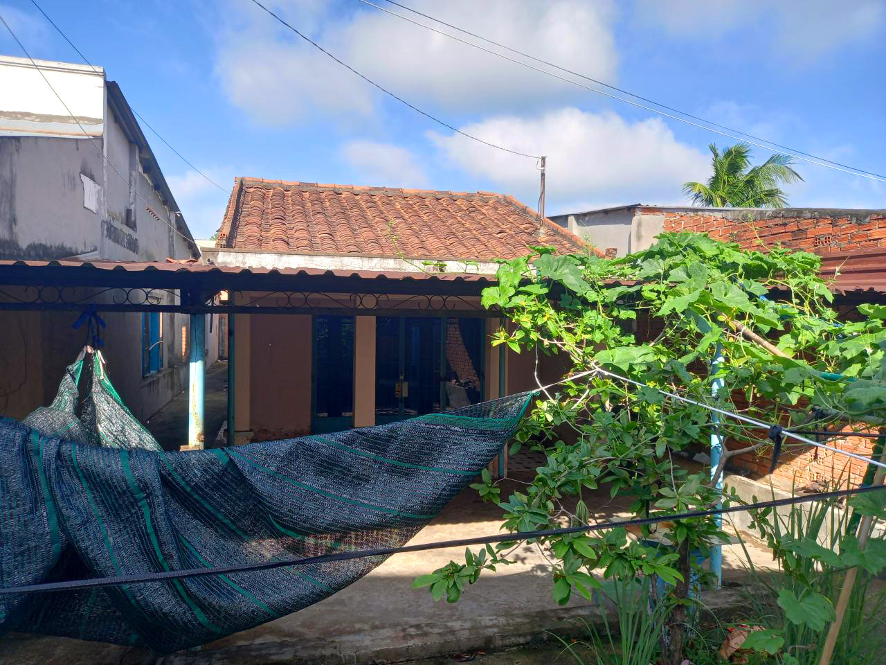 🔥🔥 Nhà vườn Đ.6m 154m², Nở hậu – Tô Ký HM