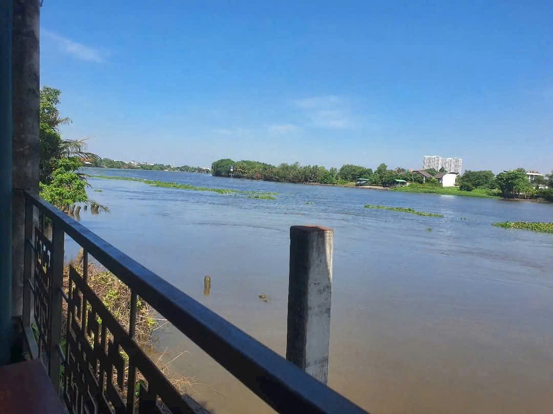 ĐẤT 2MT SÔNG SÀI GÒN – NHỊ BÌNH, HÓC MÔN FULL THỔ CƯ 1.800m² GIÁ 36 TỶ
