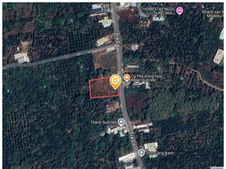Mặt tiền đường Trà Cổ 2196m² sẵn thổ cư 800m² Huyện Tân Phú