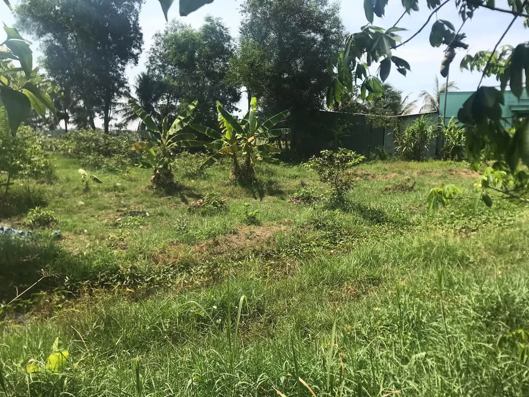 Bán đất kdc Lê Minh Xuân Bình Chánh