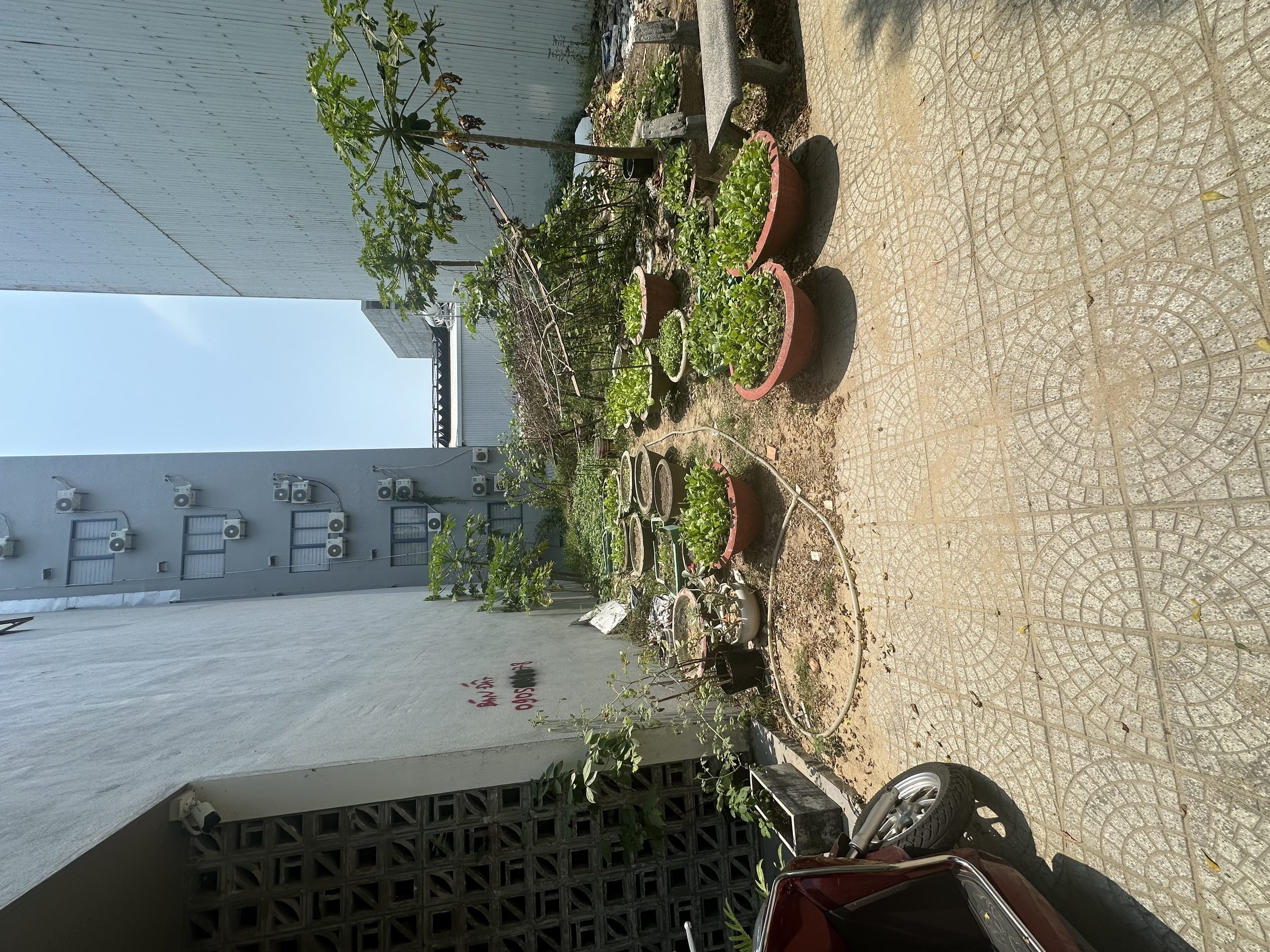 🔥 BÁN ĐẤT MT TRẦN ĐỨC THÔNG – SƠN TRÀ – SÁT THÁP ĐÔI SUN COSTA